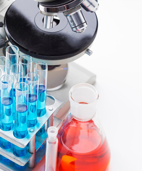 LAB24 Product Categories