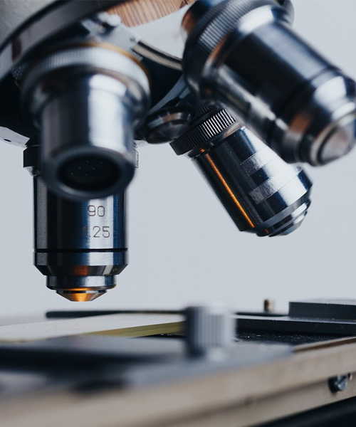 LAB24 Product Categories